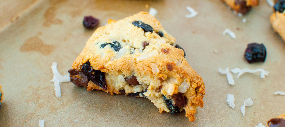 Blueberry Chocolate Chip Scones - Civilized Caveman