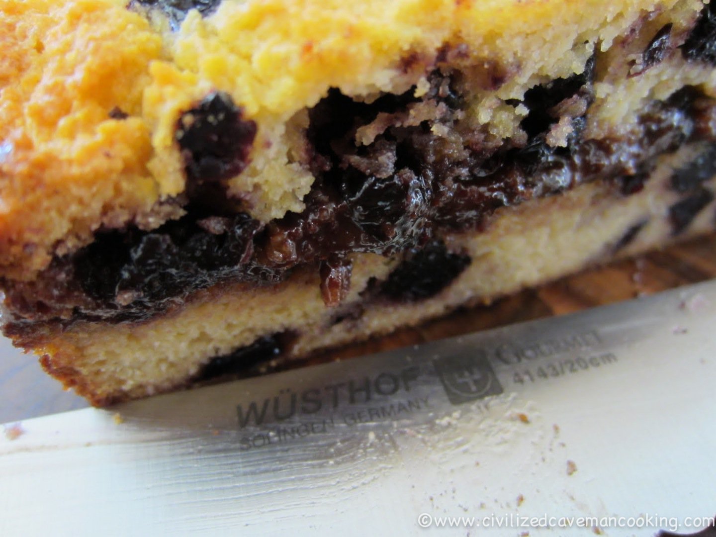 Coconut Cake with Chocolate Frosting