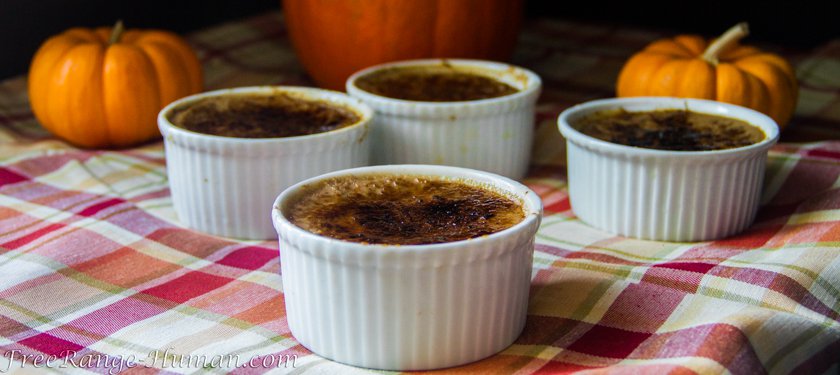 Pumpkin Pie Crème Brûlée