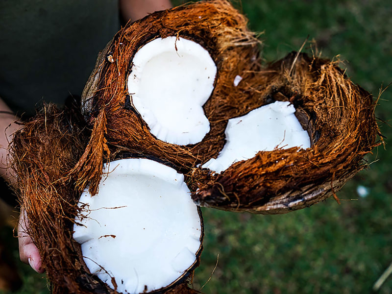 126 Uses for Coconut Oil