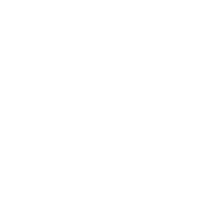 Wellness heart icon