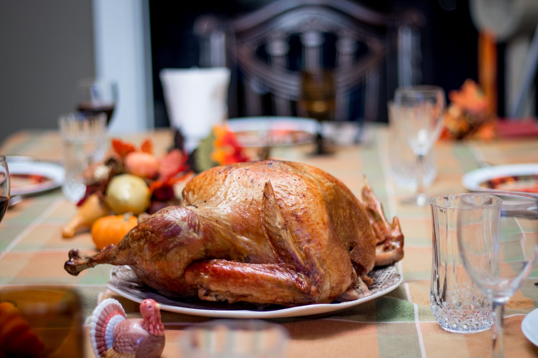 Thanksgiving turkey. A Turkey день Благодарения. Thanksgiving is a big Festival in Turkey.. Thanksgiving Indoor.
