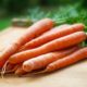Are Carrots Keto? Figuring The Nuances Out