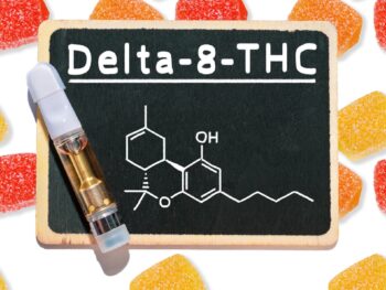 A Beginner's Guide to Delta 8 THC Gummies: What to Expect