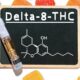 A Beginner's Guide to Delta 8 THC Gummies: What to Expect