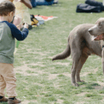 What Should You Know About Flea Collars If You Have Small Children at Home?