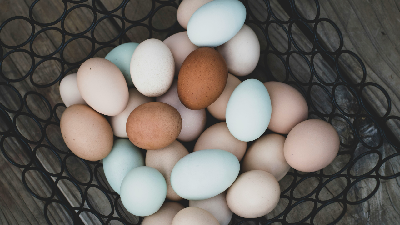 Which Egg Brands Are Known for Being High-Quality?