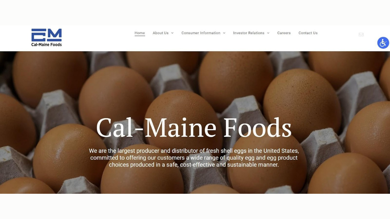 Best Egg Producers Across the USA