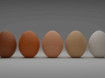 Best Egg Producers Across the USA