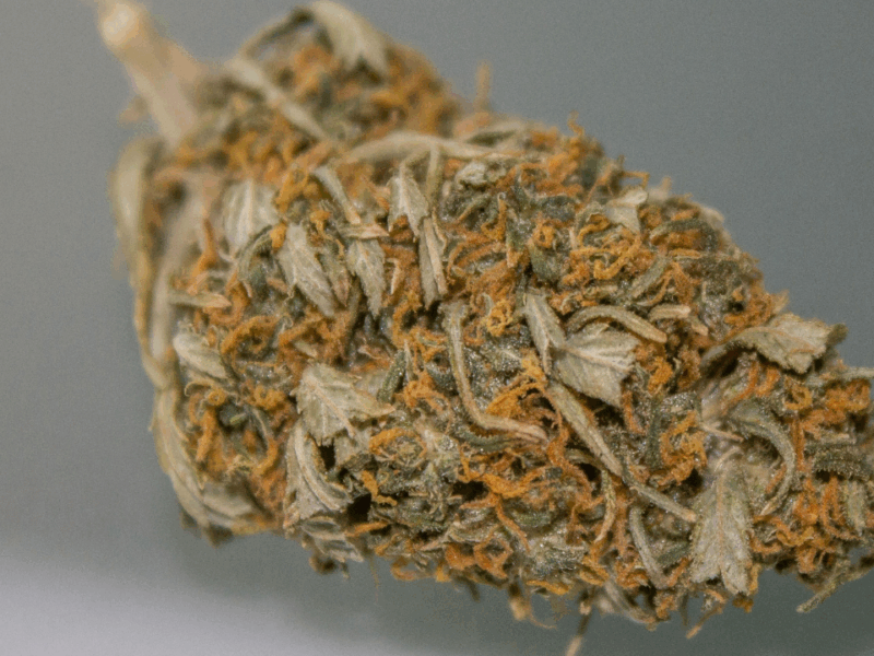 A Complete Guide To White Widow In Legal Markets