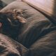 How Better Sleep Supports Fat Loss, Muscle Recovery, and Hormonal Balance