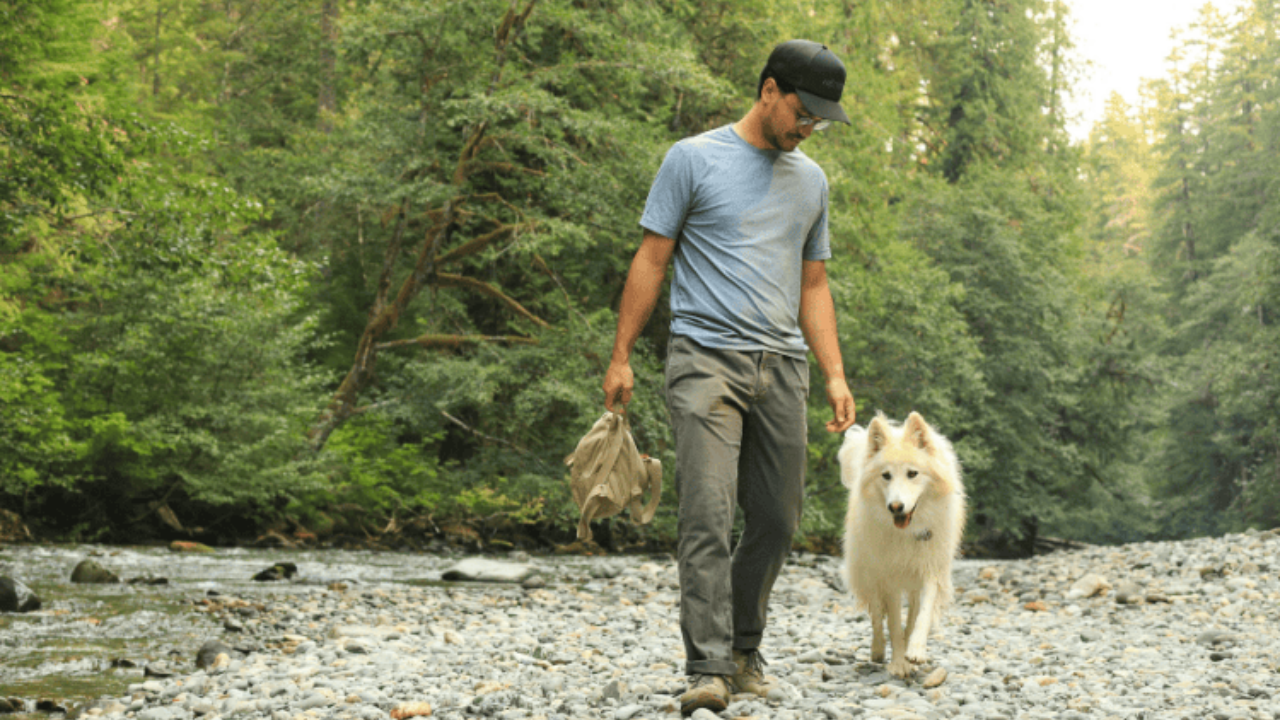 Paleo Diet for Dogs: Complete Meal Plan Guide Paleo Diet for Dogs: Complete Meal Plan Guide