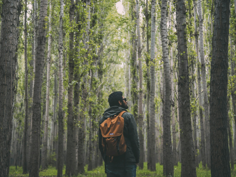 How To Improve Your Mental, Physical, and Emotional Well-Being in Six Months