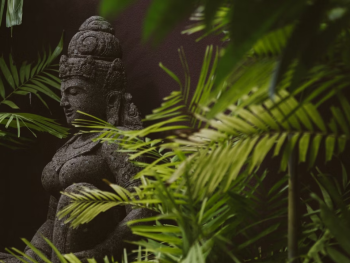 The Ancient Wellness Rituals That Modern Science Is Finally Proving Right