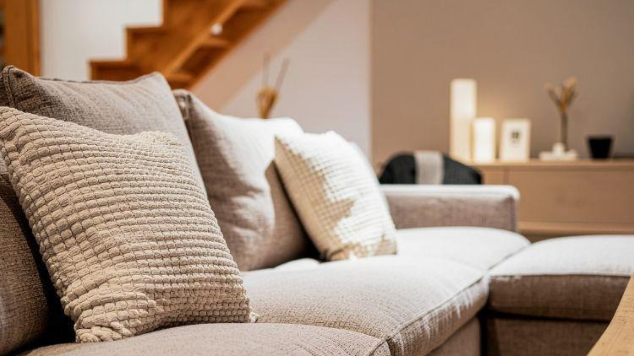 3 Best Picks for a Healthy Home