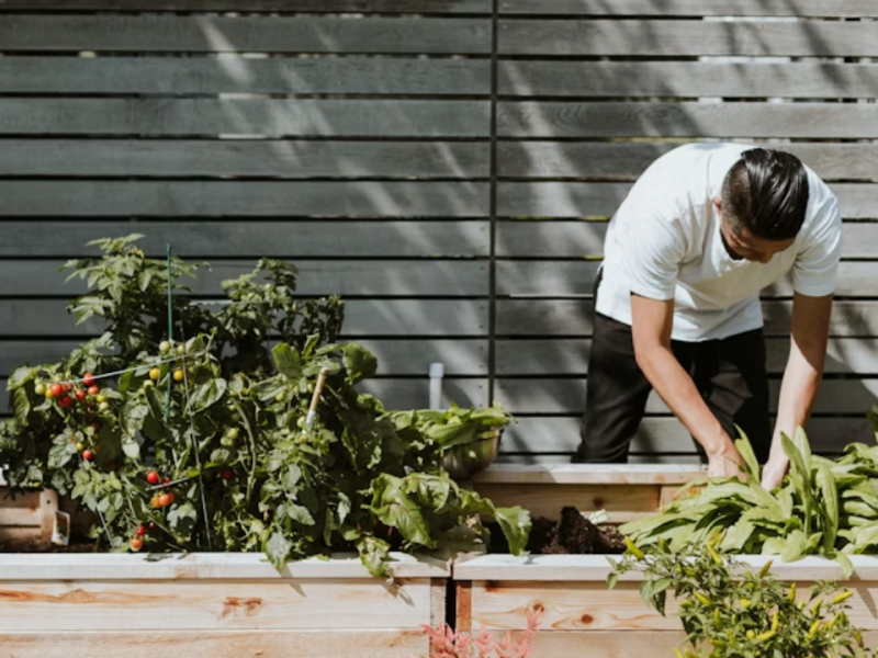 How to Take a Sustainable Approach to Your Home and Garden