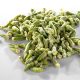 What Vegetables Can Be Frozen? A Complete Guide
