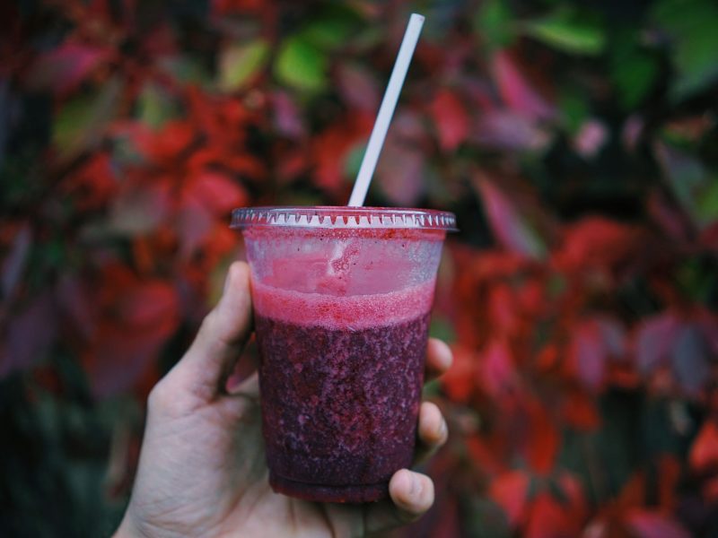 The 7 Best Meal Replacement Shakes To Fuel Your Day In 2026