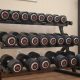 How a Well-Chosen Set of Weights Becomes the Heart of a Home Gym